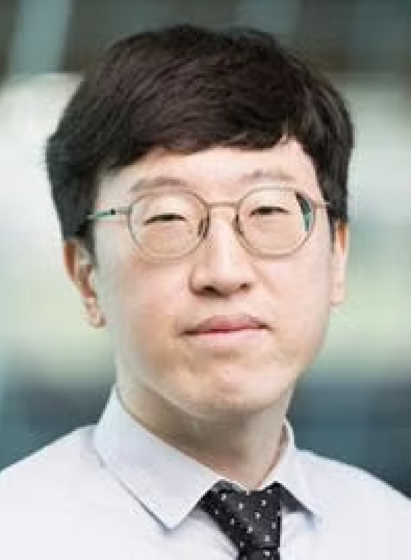 Dr. Dongheon Lee
